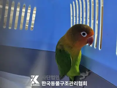 기타축종 사진