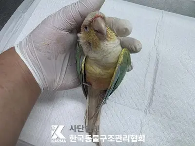 기타축종 사진