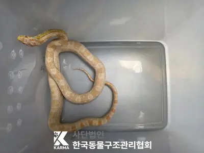 기타축종 사진