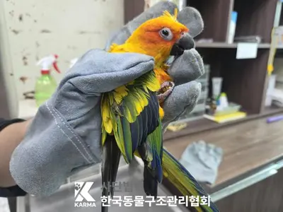 기타축종 사진