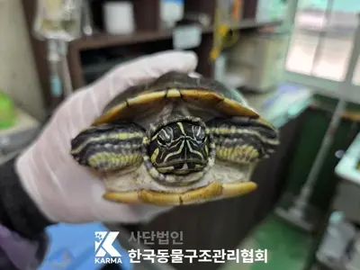 기타축종 사진