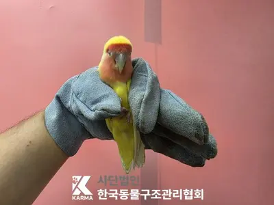 기타축종 사진