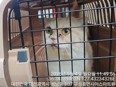 먼치킨 사진
