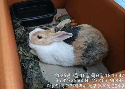 기타축종 사진