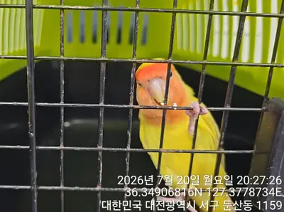 기타축종 사진