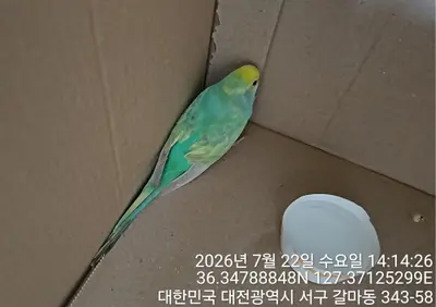 기타축종 사진