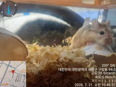 기타축종 사진