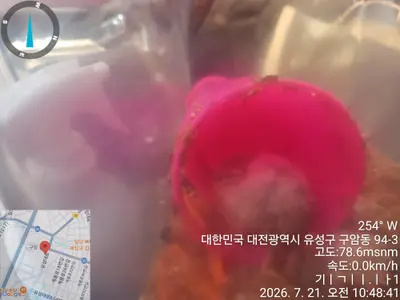 기타축종 사진