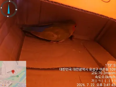 기타축종 사진