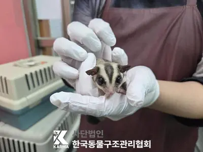 기타축종 사진