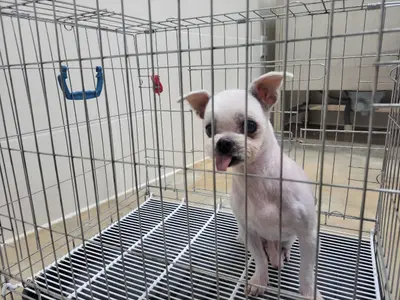 기타 사진