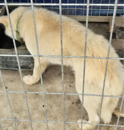 기타 사진