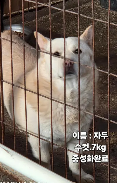 기타 사진