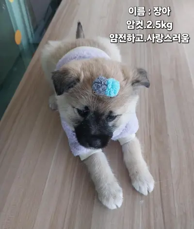 기타 사진