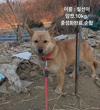 기타 사진