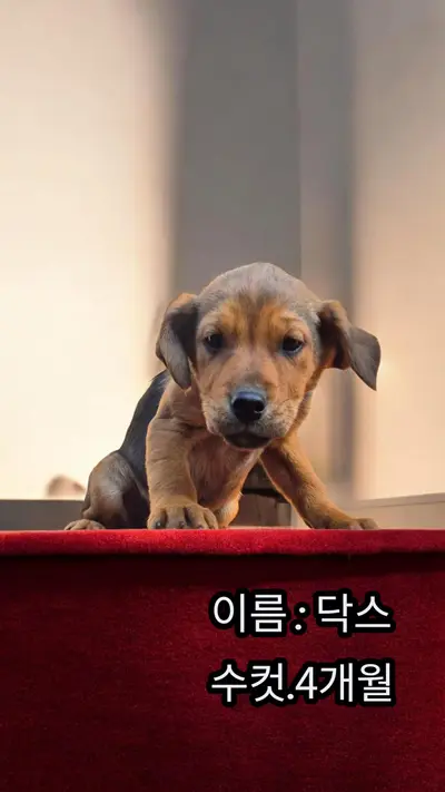기타 사진