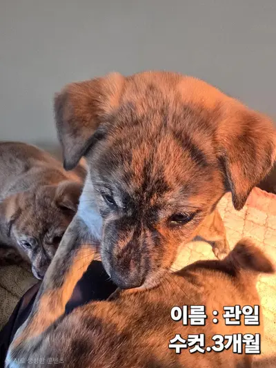 기타 사진
