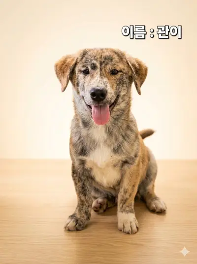 기타 사진
