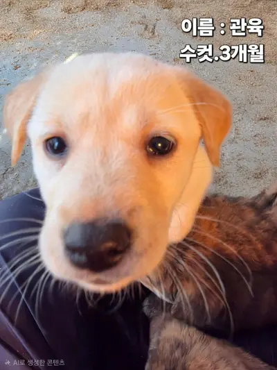 기타 사진
