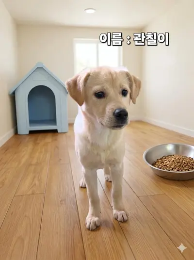 기타 사진