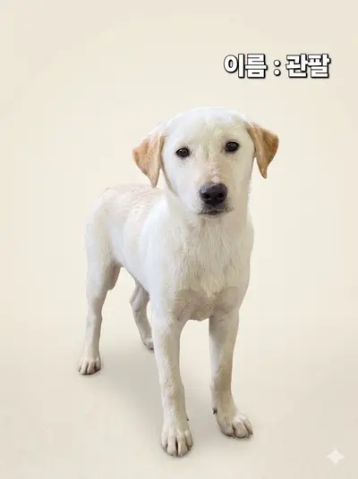 기타 사진