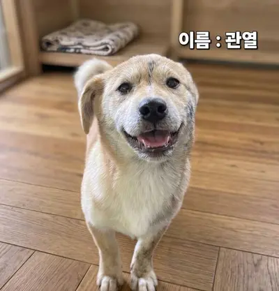 기타 사진