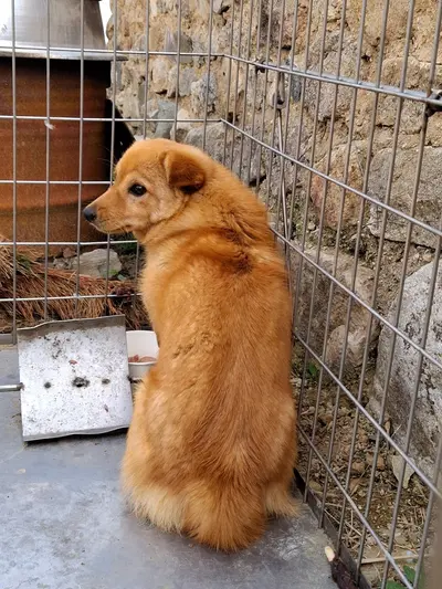 기타 사진
