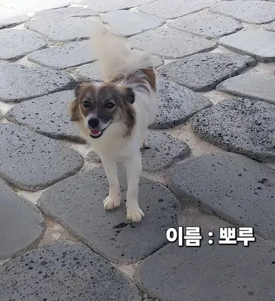 기타 사진