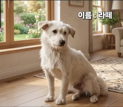 기타 사진
