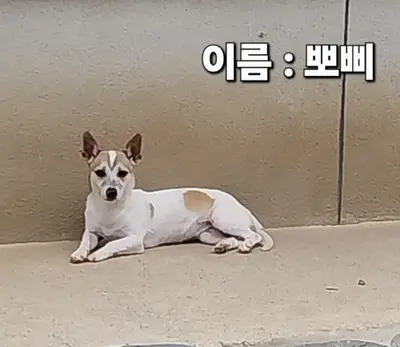 기타 사진