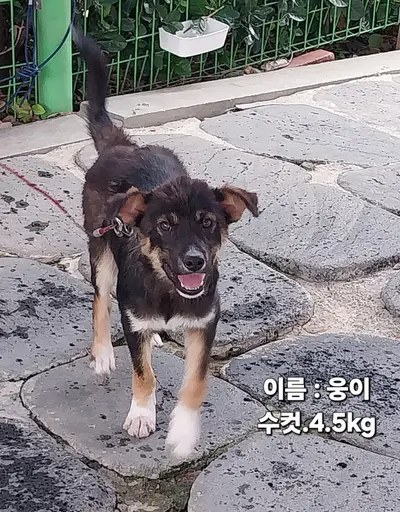 기타 사진