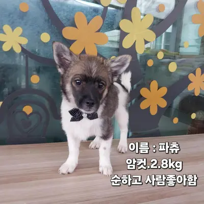 기타 사진