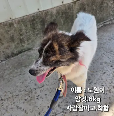기타 사진