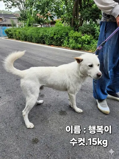 기타 사진