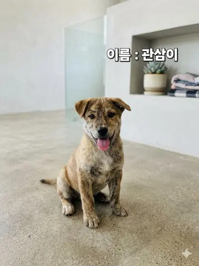 기타 사진