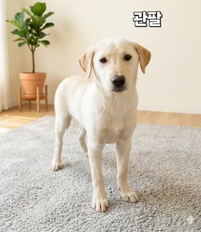 기타 사진