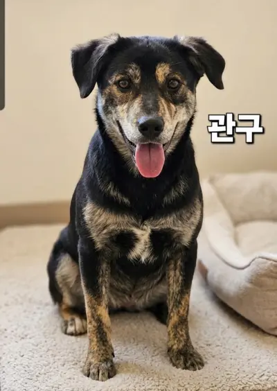기타 사진