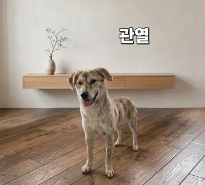 기타 사진