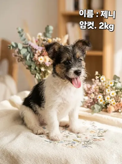 기타 사진