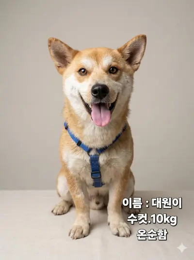 기타 사진